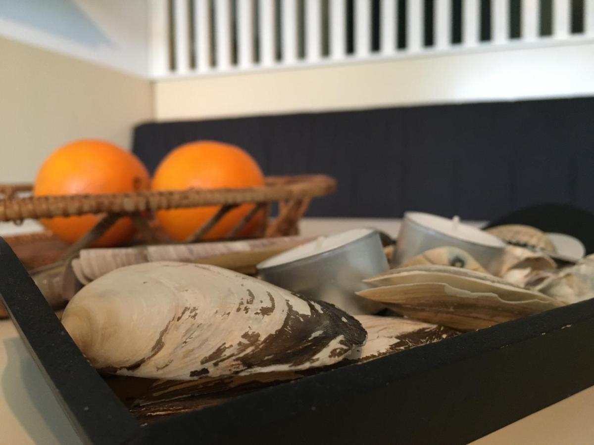 Fijne Studio Aan Zee Callantsoog Εξωτερικό φωτογραφία
